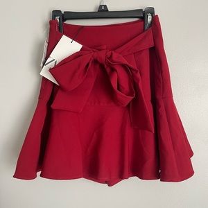 BRAND NEW ZARA skort